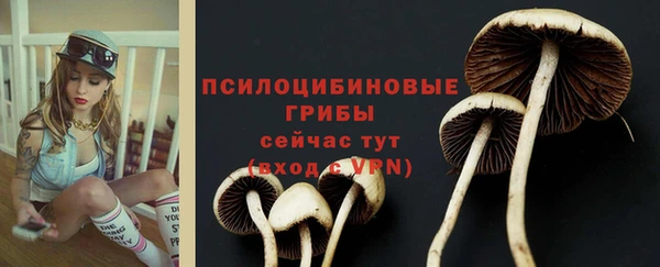прущие крисы Алексеевка
