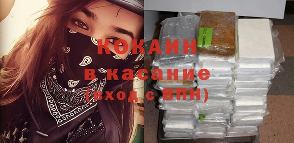 твердый Алзамай