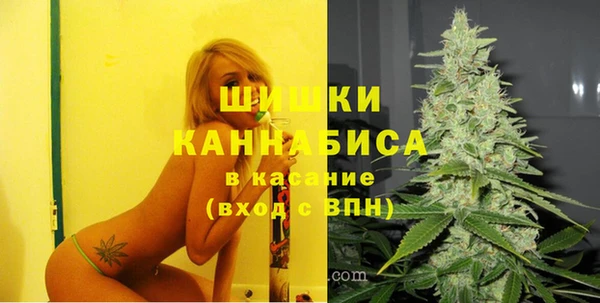 твердый Алзамай