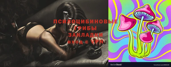 ECSTASY Алексин