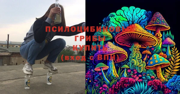 твердый Алзамай